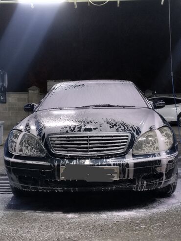 mercedes benz s 55: Mercedes-Benz S 320: 1999 г., 3.2 л, Автомат, Бензин, Седан