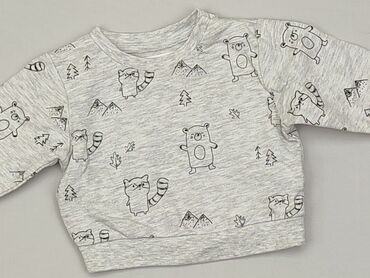 sweterki na drutach dla małych chłopców: Bluza, Fox&Bunny, 0-3 m, stan - Bardzo dobry