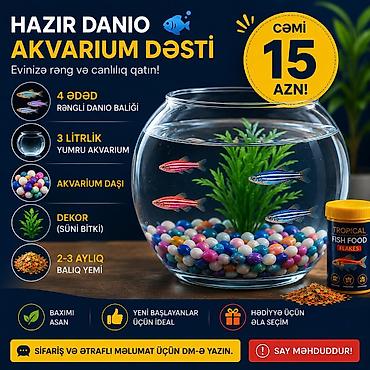 skat balığı: Hazır Danio Akvarium Dəsti Evinizə rəng və canlılıq qatan kompakt — 1