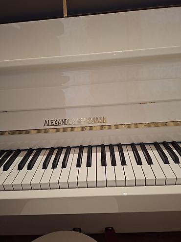 Musiqi alətləri: Piano, Akustik, Yeni, Pulsuz çatdırılma — 3
