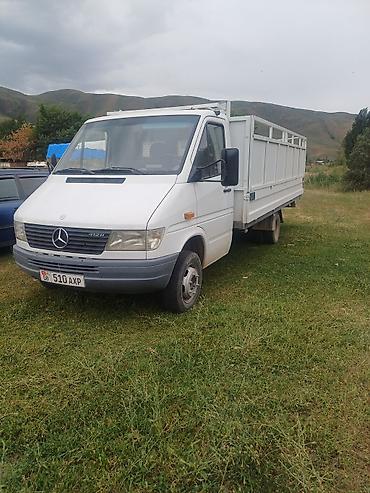 хова 2025: Mercedes-Benz Спринтер: 1996 г., 2.9 л, Механика, Дизель — 1