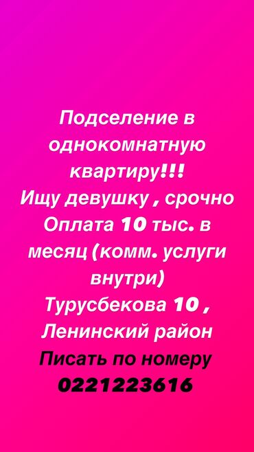 1 комнатная квартира центр: 1 бөлмө, Менчик ээси, Чогуу жашоо менен, Жарым -жартылай эмереги бар