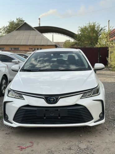 аккумлятор для машин: Белый седан Toyota Corolla с плавными линиями кузова и современным