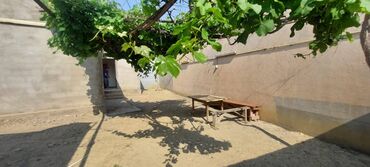 Həyət evləri və villaların satışı: Masazır 3 otaqlı, 80 kv. m, Kredit yoxdur, Orta təmir -da lalafo.az — 10 Həyət evləri və villaların satışı: Masazır 3 otaqlı, 80 kv. m, Kredit yoxdur, Orta təmir — 10