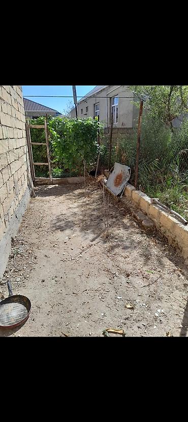 Bağ evlərinin satışı: Sumqayıt, 120 kv. m, 4 otaqlı, Kanalizasiya — 9