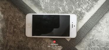 IPhone 5, Б/у, 64 ГБ, Белый