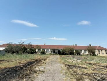 Torpaq sahələrinin satışı: Təcili. 1 hektar ərazisi olan kupçalı, dəyərindən qat-qat ucuz — 2