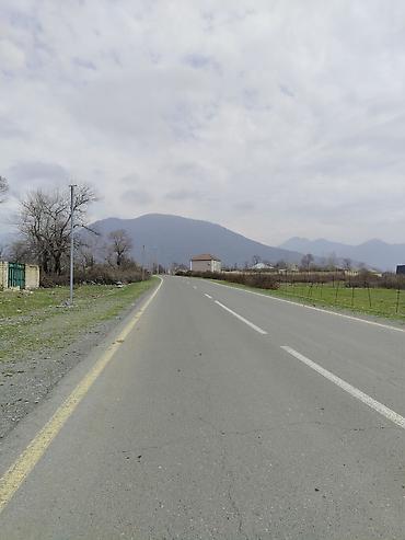 qalada torpaq: 5 sot, Tikinti, Mülkiyyətçi, Kupça (Çıxarış) — 7