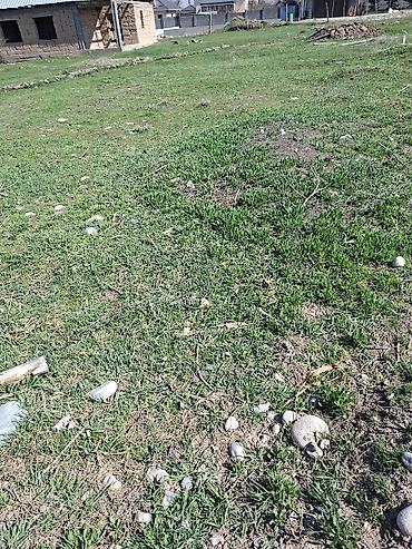 Продажа участков: 9 соток, Для строительства, Красная книга — 3