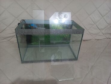 Akvariumi: AKVARIJUM za ribice dimenzija: D-40cm Š-21cm V-24,5cm sa dvodelnim — 4