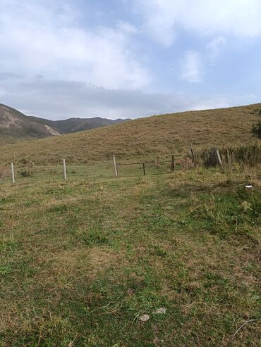 Продажа домов: Дом, 60 м², 4 комнаты, Собственник, Косметический ремонт — 25