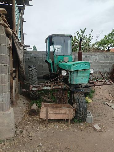 Другие тракторы: Трактор колёсный, узкоколейный/междурядный (высококлиренсный) для — 5