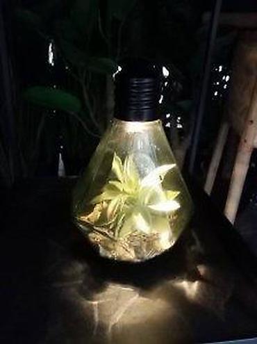 silvercrest mini rerna: VELIKA SIJALICA SA VESTACKOM BILJKOM NOVA LED LAMPA AKCIJA | Cene — 9