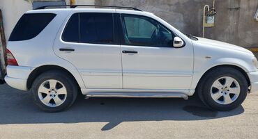 mersedes tuman: Mercedes-Benz ML 320: 3.2 l | 1998 il Krossover