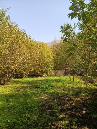 Torpaq sahələrinin satışı: 10 sot, Tikinti, Barter mümkündür, Kupça (Çıxarış) -da lalafo.az — 9 Torpaq sahələrinin satışı: 10 sot, Tikinti, Barter mümkündür, Kupça (Çıxarış) — 9