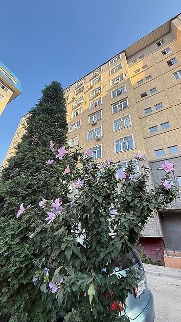 ак кеме старый аэропорт: 🏡 Продаётся просторная 2-комнатная квартира в районе Ак-Кеме (Старый — 9