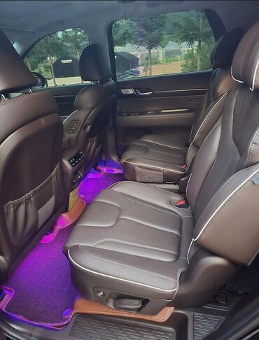 Hyundai: Hyundai Palisade: 2023 г., 2.2 л, Автомат, Дизель, Кроссовер — 11