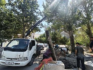 Услуги манипулятора: Стрела 3 м, 1 т, Борт 2500 кг — 19