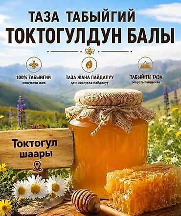 Токтогулдун тоо балы сатылат майский таза бачогу 13000сом сүйлөшүү