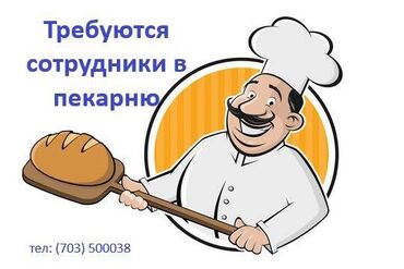 додо пицца бишкек вакансии: Талап кылынат Өндүрүшкө кара жумушчу, Төлөм Бир айда эки жолу, Тажрыйбасыз