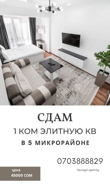 ак ордо квартир: 1 комната, Агентство недвижимости, Без подселения, С мебелью полностью