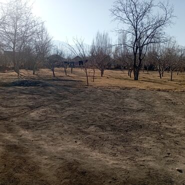 Продажа участков: 25 соток — 20