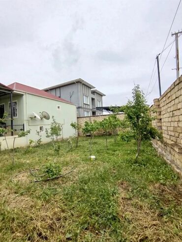 obyekt üçün torpaq: 2 sot, Biznes üçün, Kupça (Çıxarış)