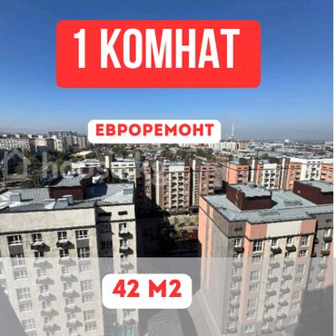 аренда квартир рабочий городок: 1 комната, 42 м², Элитка, 12 этаж, Евроремонт