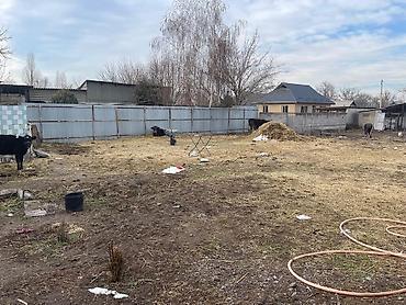 Продажа коттеджей и домов: Продается дом верхней части города КАРА Балта в удобном расположение at lalafo.kg — 5 Продажа коттеджей и домов: Продается дом верхней части города КАРА Балта в удобном расположение — 5