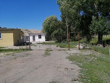 Продажа сельхоз предприятий: Ферма КРС, 25 соток, Действующий, С оборудованием, Электричество — 17