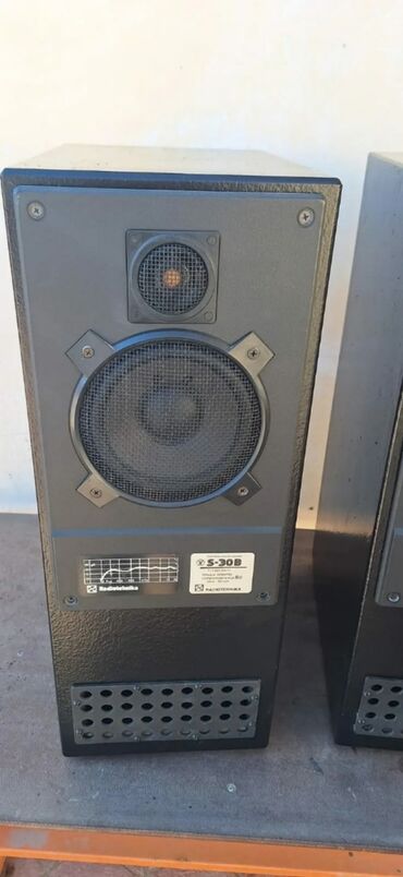 Dinamiklər və kolonkalar: Akustik sistem eksküliziv labirint qutuda sony dinamiklə və tviterlə — 5