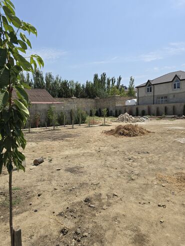 xacmaz torpaq satilir: 845 sot, Tikinti, Mülkiyyətçi, Kupça (Çıxarış)