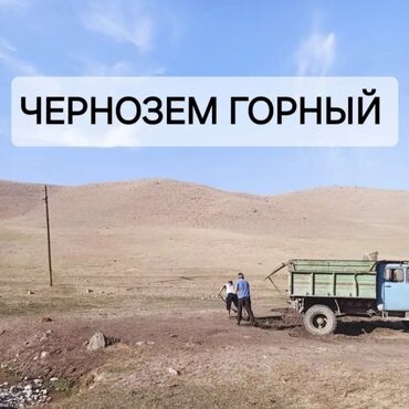 форель цены: Тонна менен, Акысыз жеткирүү, Зил