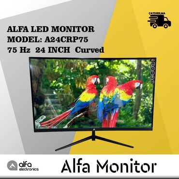 w211 monitor: Monitor LED "Alfa, 75 Hz 24 INCH Curved" ALFA LED MONITOR MODEL