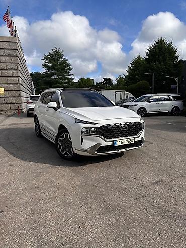 купить дверные ручки: Hyundai Santa Fe: 2021 г., 1.6 л, Гибрид, Кроссовер — 2