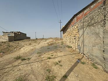sulut: 5 sot, Tikinti, Mülkiyyətçi, Bələdiyyə — 2