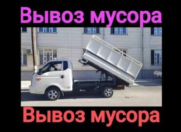Другие животные: ВЫВОЗ МУСОР 🗑 ВЫВОЗ МУСОР 🗑 ВЫВОЗ МУСОР 🗑 ВЫВОЗ МУСОР 🗑 ВЫВОЗ МУСОР 🗑