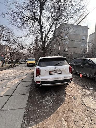 Hyundai: Hyundai Palisade: 2020 г., 2.2 л, Автомат, Дизель — 18