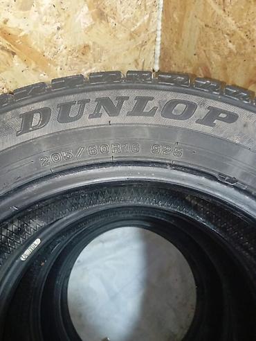 зимние шины липучка: Шины 205 / 60 / R 16, Зима, Б/у, Комплект, Легковые, Dunlop — 1