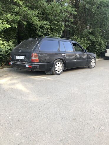 аккорд 1991: Mercedes-Benz W124: 1991 г., 2.5 л, Механика, Дизель, Универсал