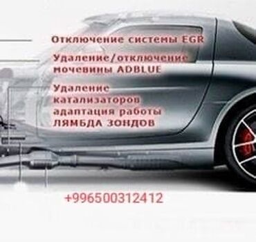 СТО, ремонт транспорта: Прошивка авто Переход на нормы токсичности Евро-2/Евро-0 (Отключение