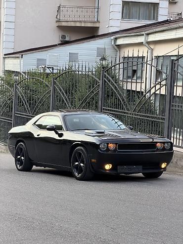 dodge challanger: Dodge Challenger: 2013 г., 3.6 л, Автомат, Бензин — 3