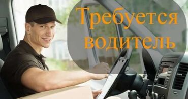 зоомагазин бишкек: Требуется водитель без штрафов по Безопасному городу. Рабочий день с