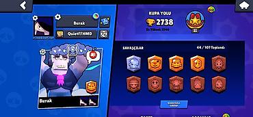 braw stars: Brawl Stars oyunu üçün oyun hesabı - Kupa sayı: 2738 (ən yüksək — 2