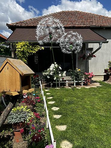 lavanda sadnice: Prodajem prelepe, ručno rađene dekorativne maslačce. Savršen ukras za — 3