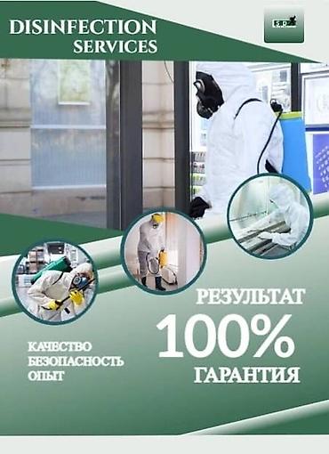 160: Дезинфекция, дезинсекция, | Тараканы, | Дома, Кафе, магазины, Квартиры — 4