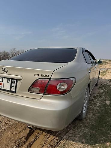 Lexus: Lexus ES: 2002 г., Автомат, Бензин, Седан — 7