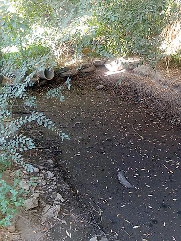 Продажа коттеджей и домов: Продаю два дома на одном участке Рядом с трассой Аэропорта Манас Село — 14