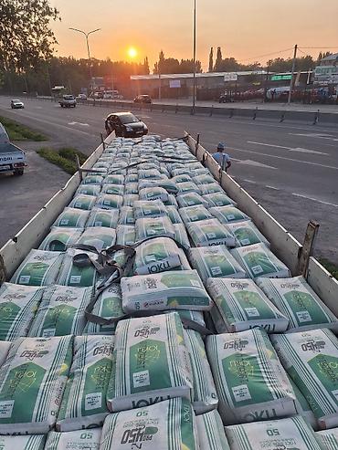 Оңдоп-түзөө жана курулуш: M-450, 50 кг/м³, Дүңүнөн — 4