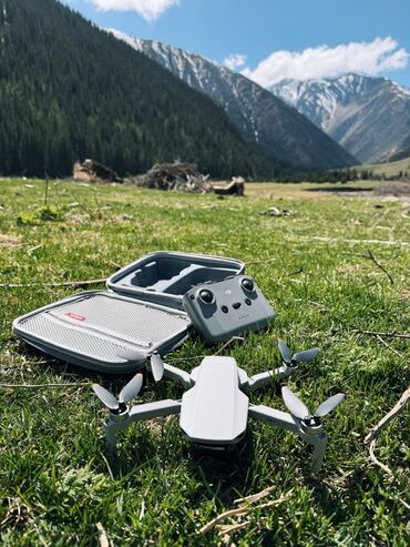 батарейка на дрон: Квадрокоптер DJI SE 2 комбо Дрон 2 батареи Зарядный блок 4 nd фильтра